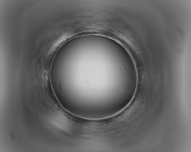 X0000114151355200910151534