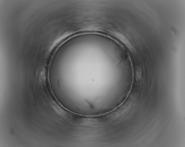 X0000114151356200910151534