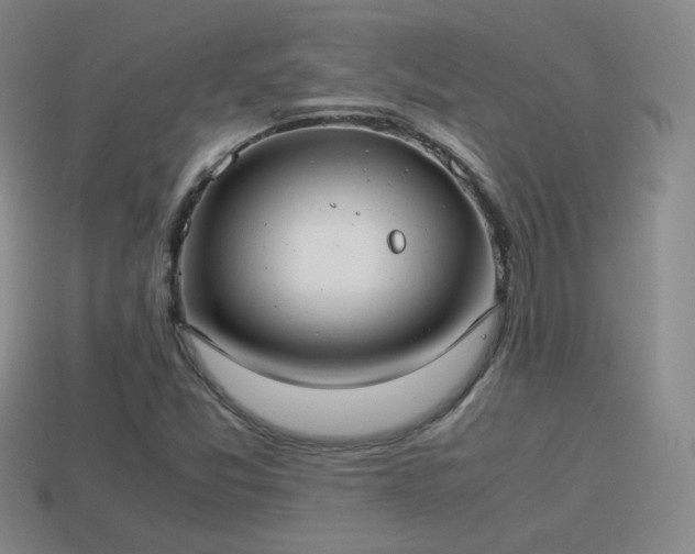 X0000114151357200910151534