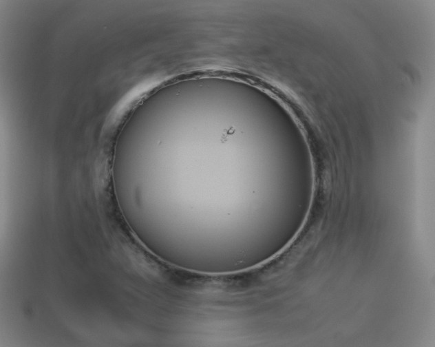 X0000114151359200910151534