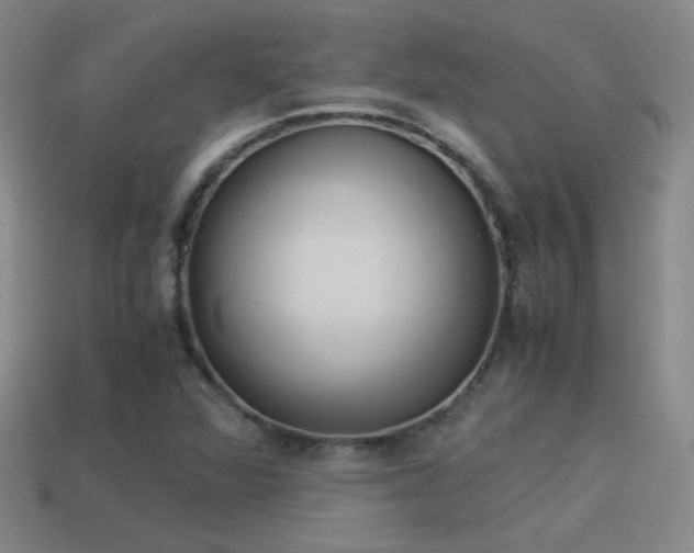 X0000114151360200910151534