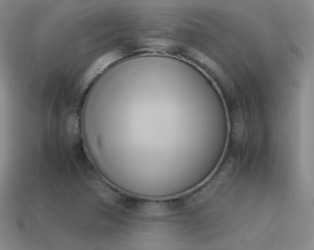 X0000114151362200910151534