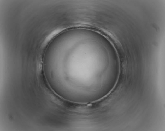 X0000114151363200910151534
