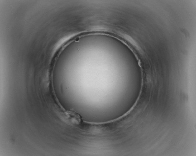 X0000114151364200910151534