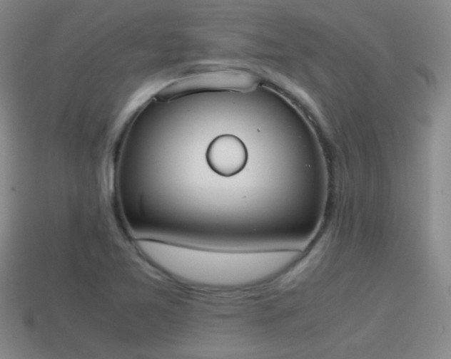 X0000114151365200910151534