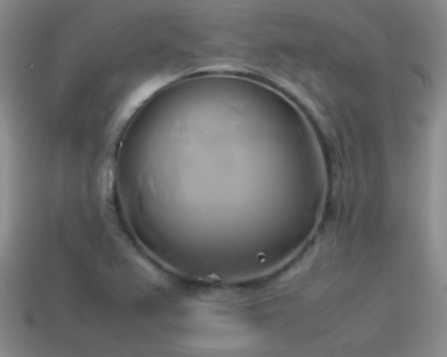 X0000114151367200910151534