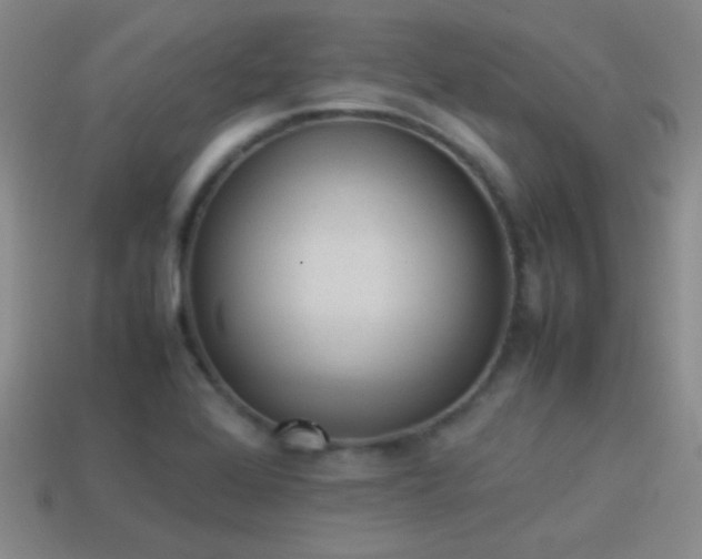 X0000114151368200910151534