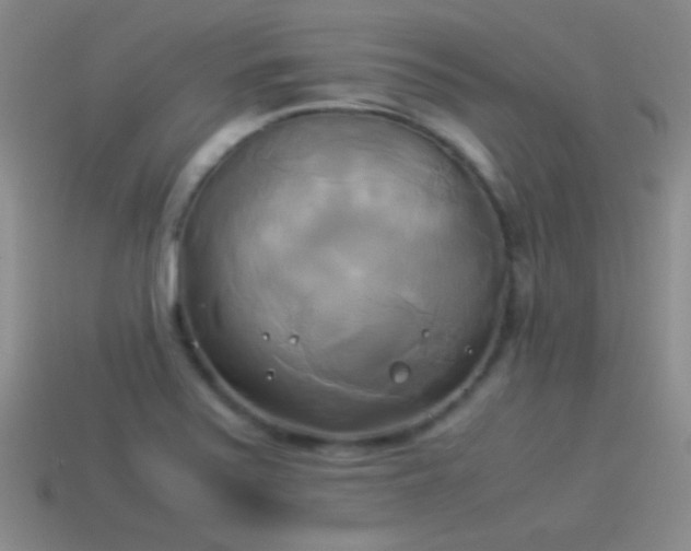 X0000114151371200910151534