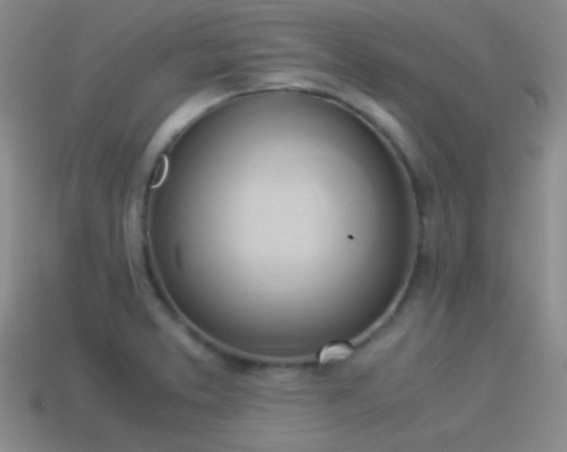 X0000114151373200910151534