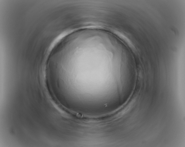 X0000114151375200910151534