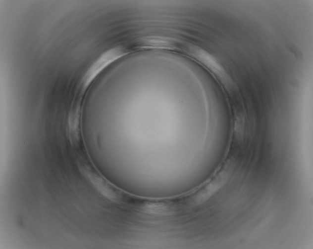 X0000114151378200910151534