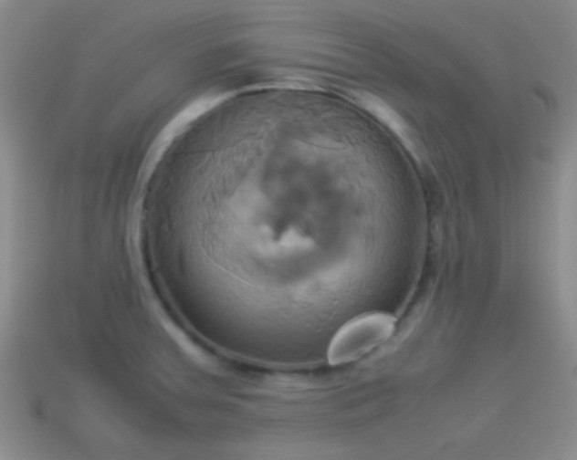 X0000114151379200910151534