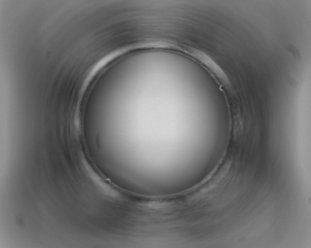 X0000114151380200910151534