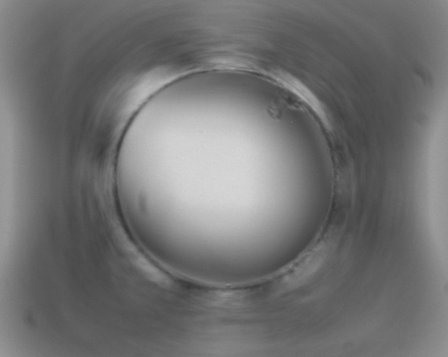 X0000114151381200910151534