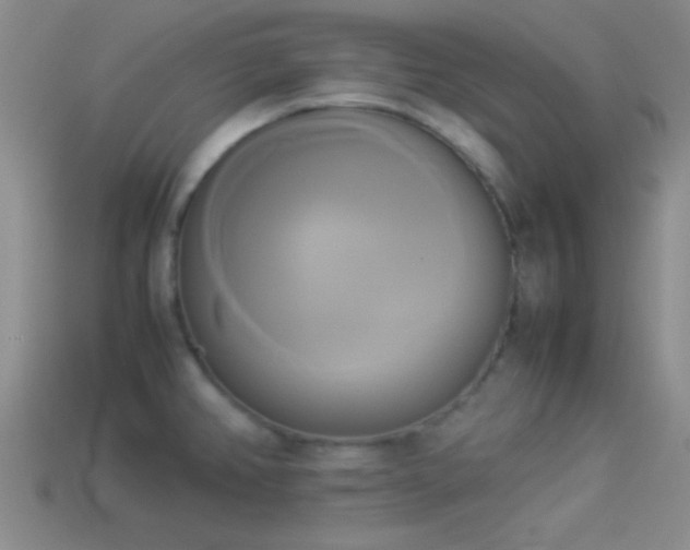 X0000114151382200910151534