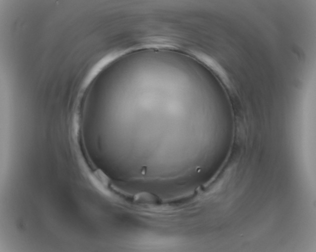 X0000114151383200910151534
