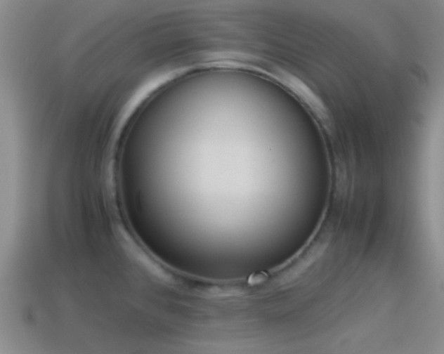X0000114151384200910151534