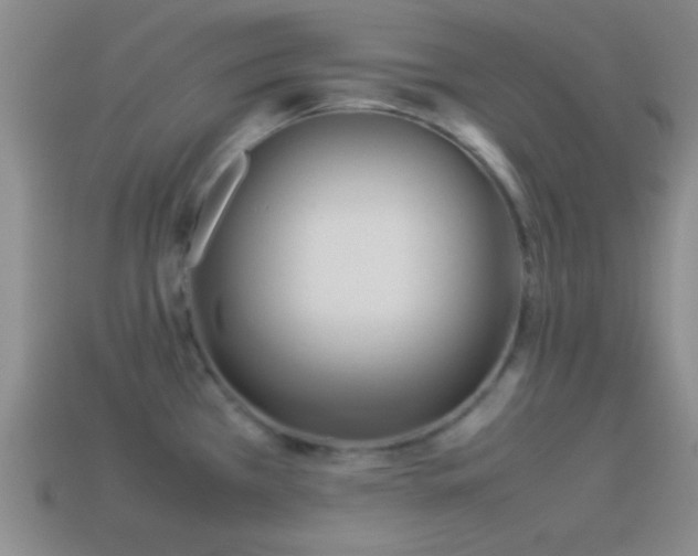 X0000114151385200910151534
