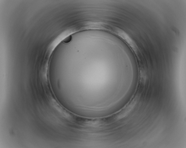 X0000114151386200910151534