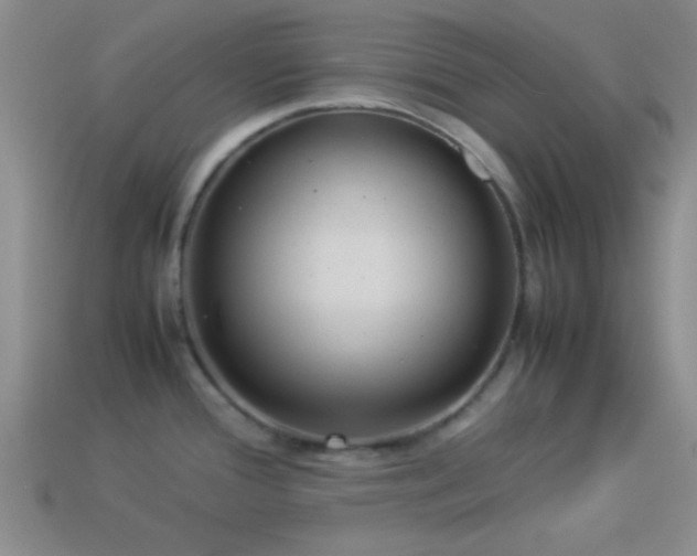 X0000114151388200910151534
