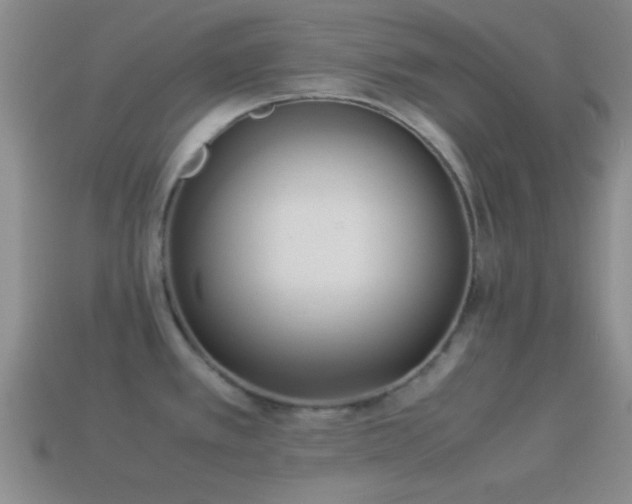 X0000114151389200910151534