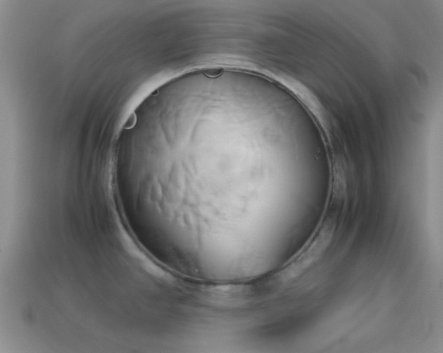 X0000114151390200910151534