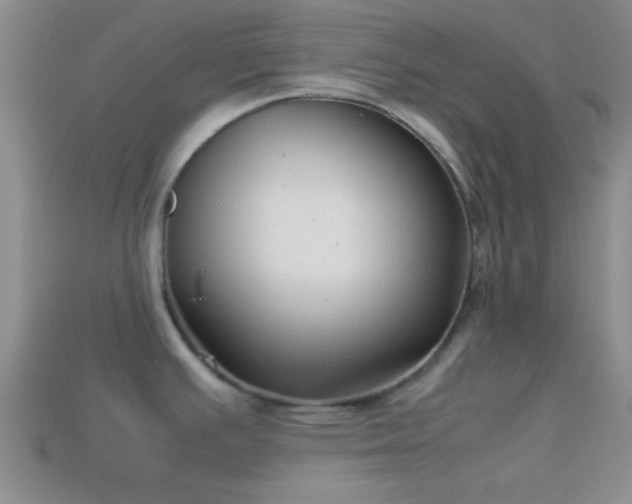 X0000114151391200910151534