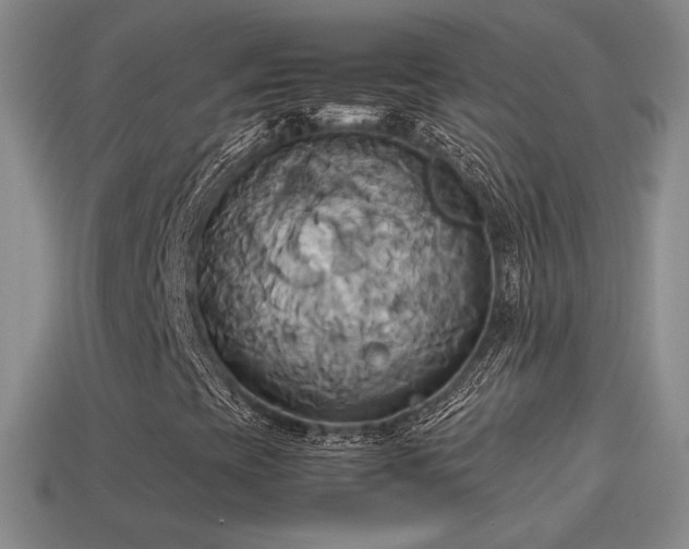 X0000114151393200910151533