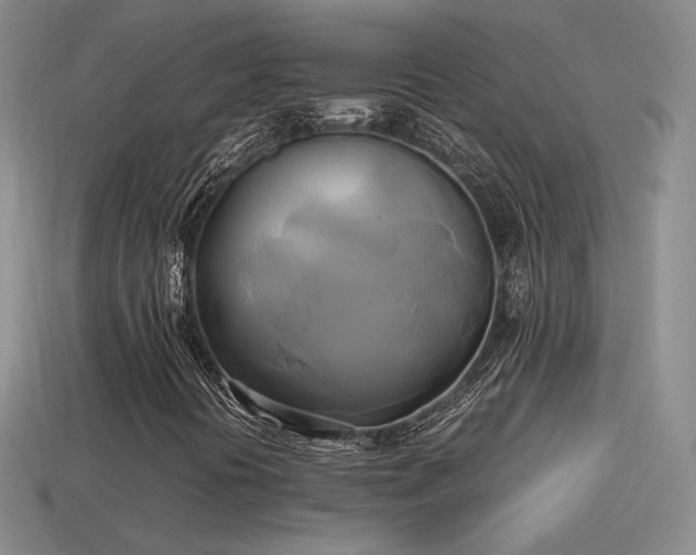 X0000114151394200910151533