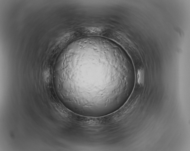X0000114151395200910151533