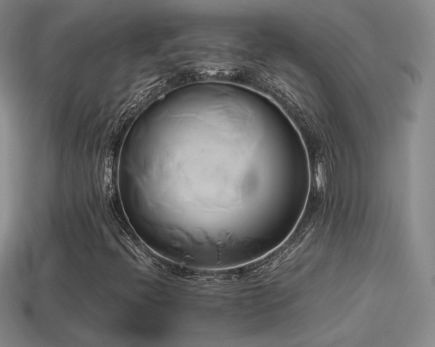 X0000114151396200910151533