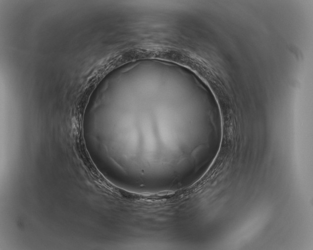 X0000114151397200910151533
