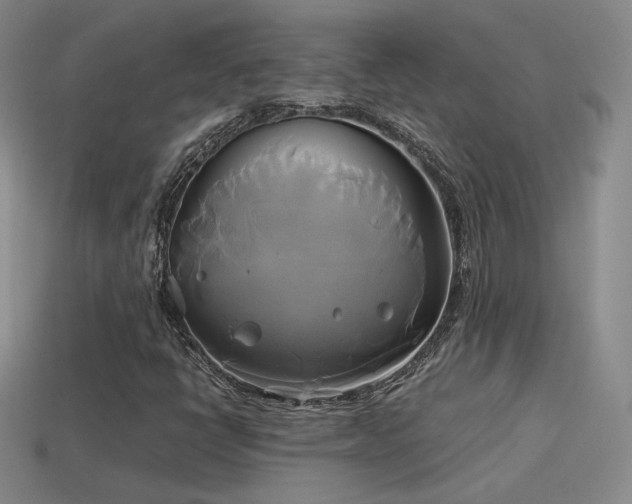 X0000114151398200910151533