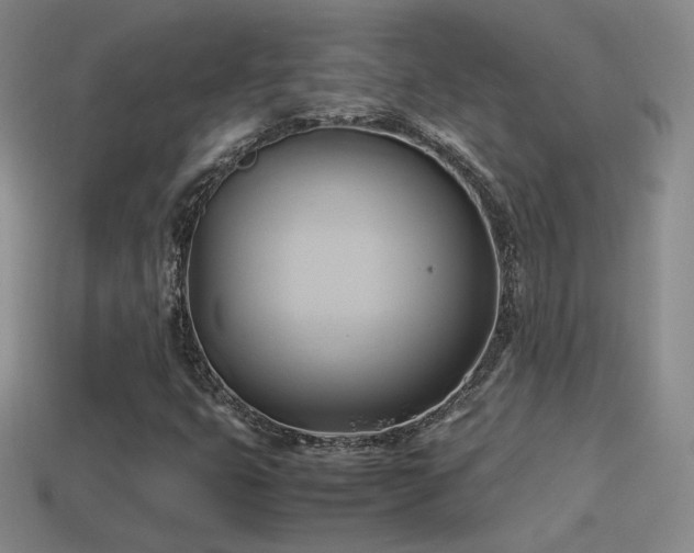 X0000114151399200910151533