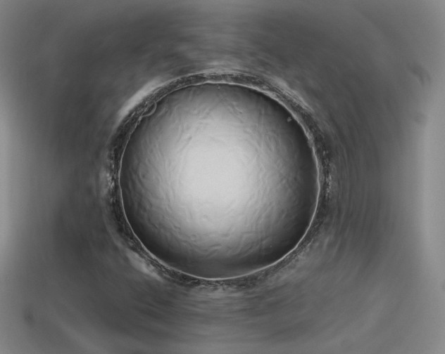 X0000114151400200910151533