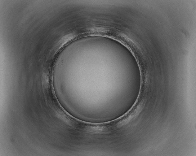X0000114151401200910151533