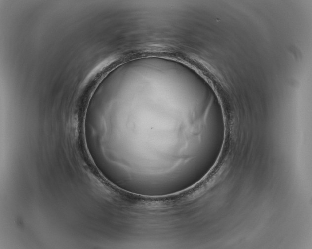 X0000114151402200910151533