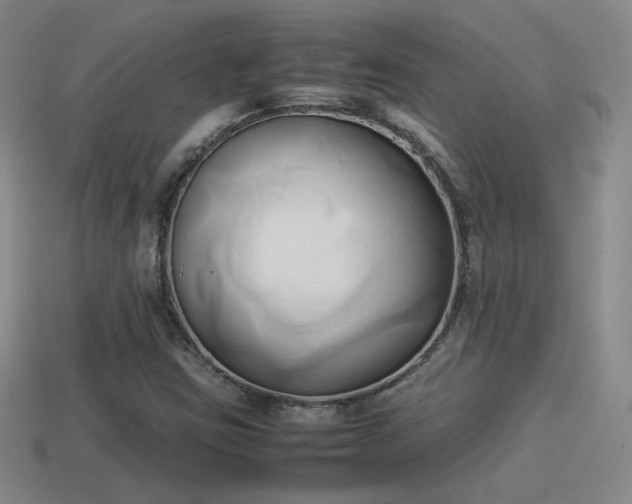 X0000114151403200910151533
