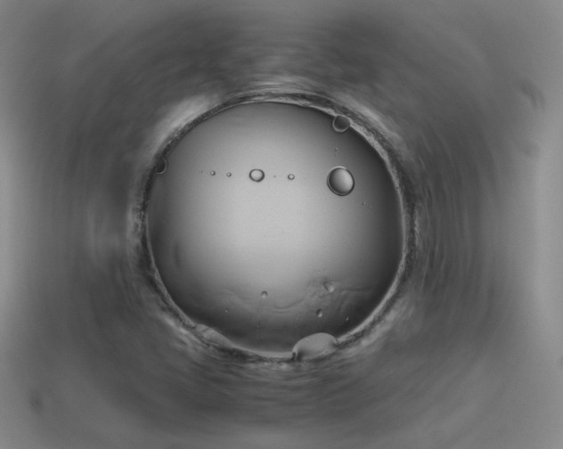 X0000114151405200910151534