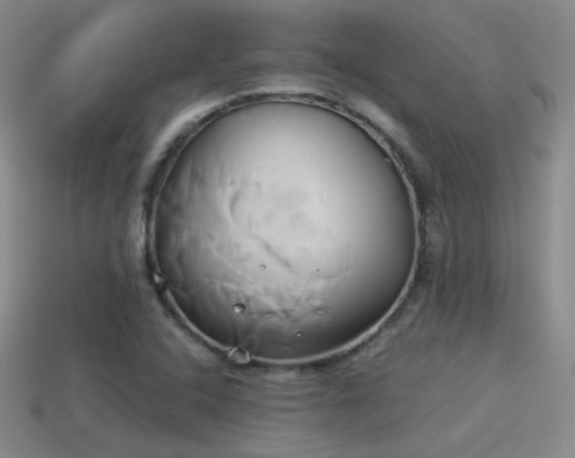 X0000114151408200910151534
