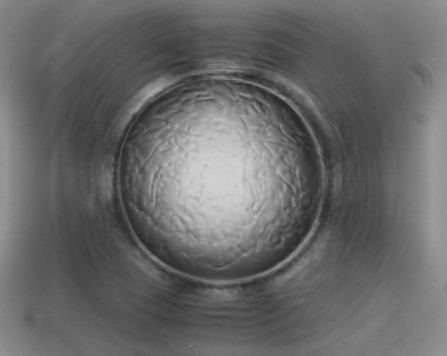 X0000114151409200910151534