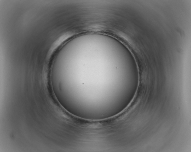 X0000114151410200910151534