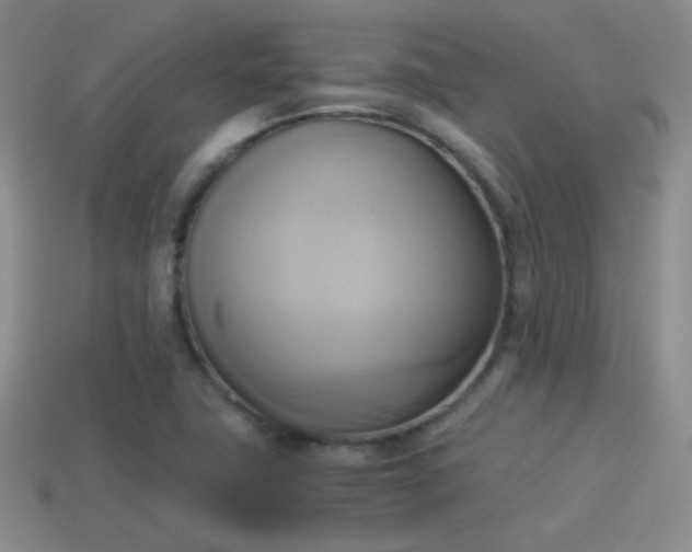 X0000114151411200910151534