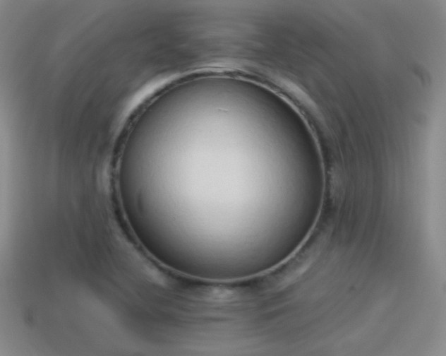 X0000114151412200910151534