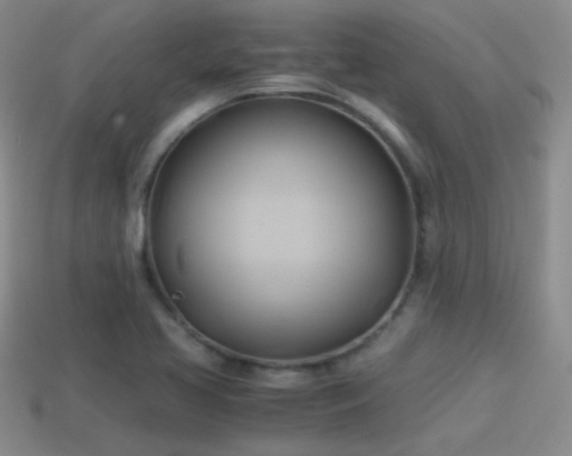 X0000114151413200910151534