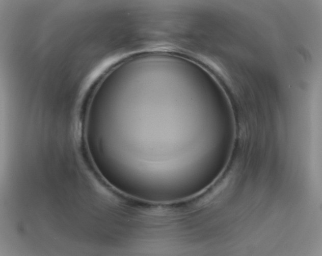 X0000114151414200910151534