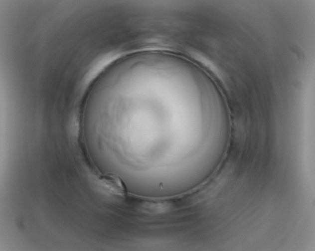 X0000114151415200910151534