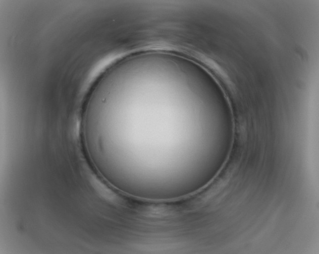 X0000114151416200910151534