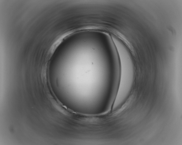 X0000114151417200910151534