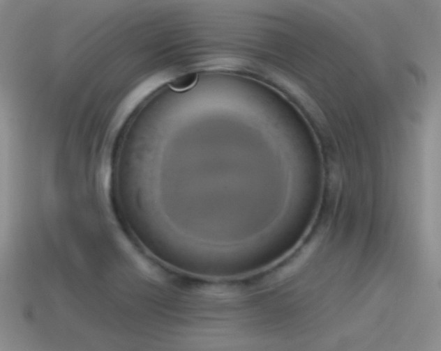 X0000114151418200910151534